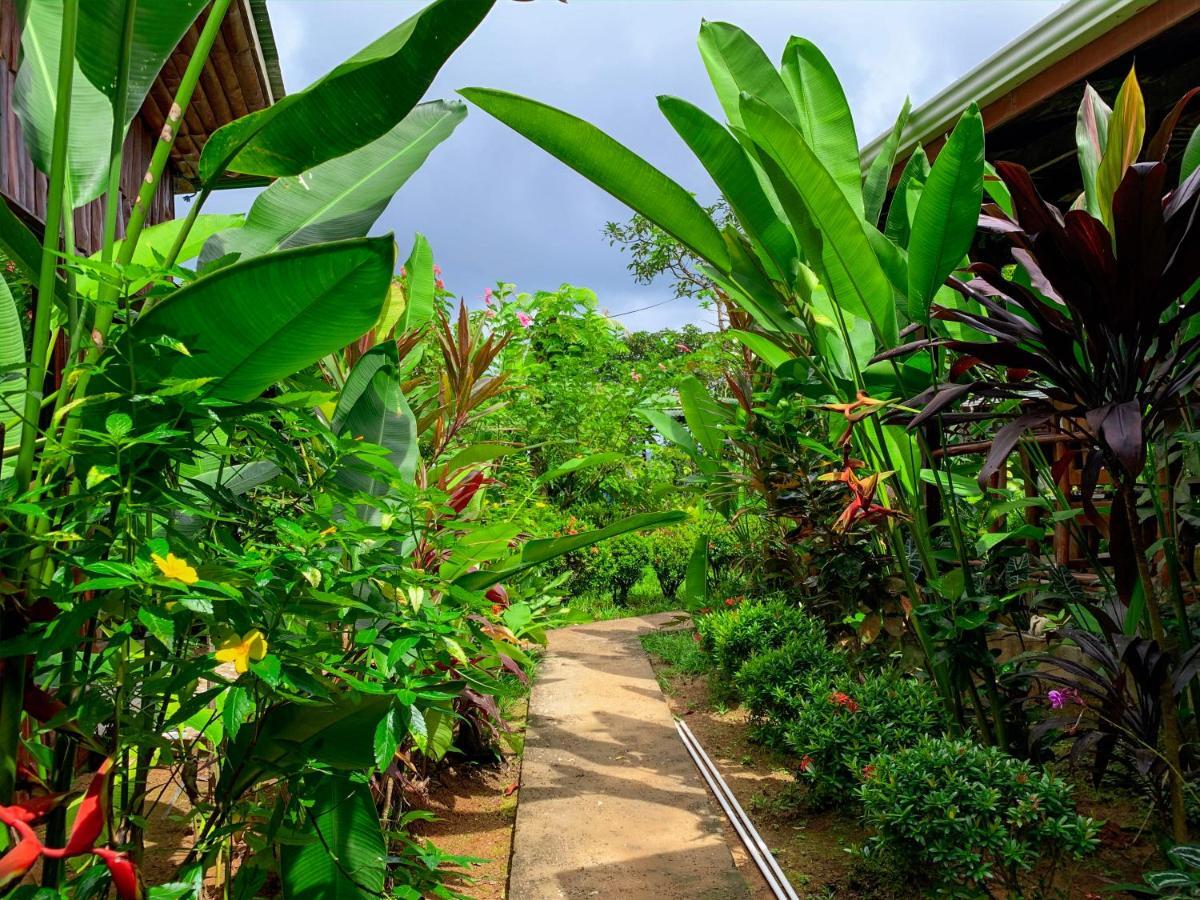 Cotingas Ocean View Villa Drake Bay Bagian luar foto