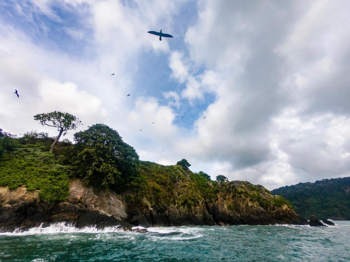 Cotingas Ocean View Villa Drake Bay Bagian luar foto