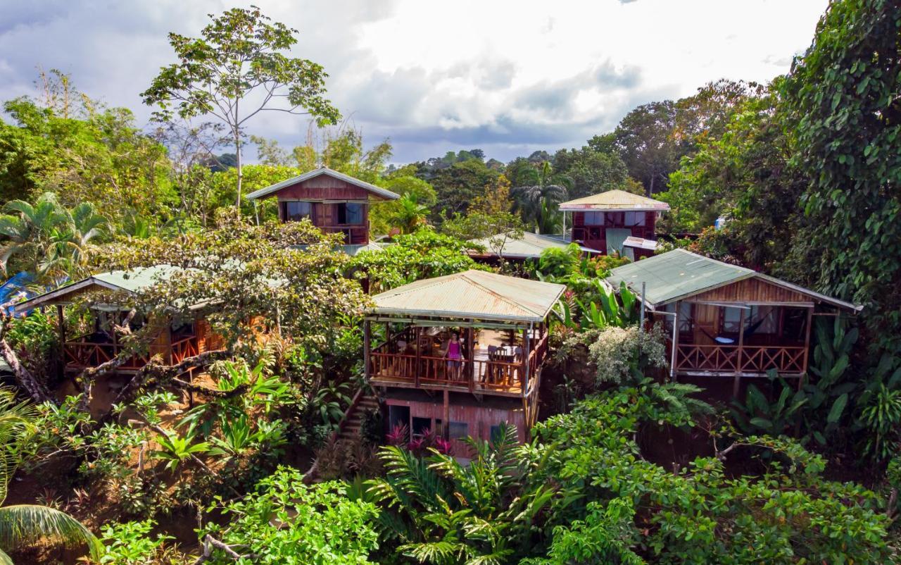 Cotingas Ocean View Villa Drake Bay Bagian luar foto